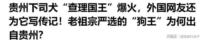 ”爆火！身价飙升至10万美元狗主人被扒pg电子模拟器试玩贵州下司犬“查理国王(图20)
